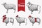 A fun package of graphic elements, sketches from Pets. Sheep in different fashion images. Graphic illustration on an isolated back