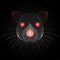 Fun rat face x-ray with red luminous eyes