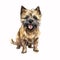 Fun in the Sun: Cairn Terrier Puppy in Lively Watercolor Park AI Generated