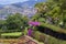 Funchal botanical park, Madeira