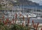 Funchal harbour - sunny December in Madeira.