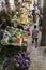 FUNCHAL, PORTUGAL - JUNE 25: Fresh exotic fruits in Mercado Dos
