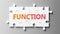 Function complex like a puzzle - pictured as word Function on a puzzle pieces to show that Function can be difficult and needs