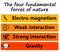 Fundamental forces nature