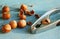 Fundamental stuff to open dried fruits like hazelnuts or nuts.