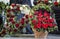 Funeral, beautifully decorated with flower arrangements coffin