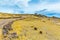 Funerary towers and ruins in Sillustani, Peru,South America- Inca prehistoric ruins near Puno