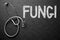 Fungi Concept on Chalkboard. 3D Illustration.