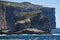 Fungus and Gebla Rock cliffs near Azure window, Gozo island, Malta