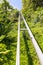Funicular Railway leading up in wild vegetation