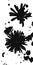 Funky black and white dandelion unique ink splat reflection background