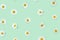 Funky pattern created with natural white daisy flowers heads against pastel green background. Optimistic and minimal modern