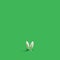 Funky pop up minimal concept. Awesome white bunny ears pop out from just broken endless green backgrounds. Creative copy space
