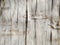 Funky weathered wood with peeling layers