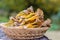 Funnel chanterelle in basket