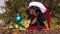 Funny adorable black and tan dachshund dog in a red sweater and Santa`s holiday hat is sitting in a large basket under a Christma