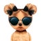 Funny adorable doggy girl with glamour sunglasses