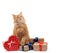Funny adult ginger cat sitting in the middle of boxes wrapped in brown paper and tied with silk ribbon, gifts