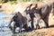 Funny African elephants splashing in the lake water