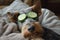 Funny airedale terrier dog spa, laying in bed and relaxing, cucumber slices on eyes