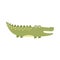 Funny alligator isolated element for kids design. Print with cute crocodile