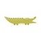 Funny alligator with open mouth isolated element. Funny crocodile character