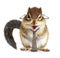 Funny animal businessman, chipmunk with tie and glasses
