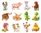Funny animal in the Chinese zodiac, Chinese calendar. Vector icon set