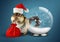 Funny animal chipmunk dressed as santa with snow ball and bag, c