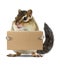 Funny animal chipmunk hold box, delivery concept