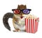 Funny animal chipmunk watching movie with popcorn