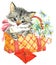Funny animal Kitten. watercolor