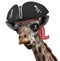 Funny animal picture of a cool giraffe wearing a pirate hat and eyepatch with crossbones