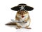 Funny animal pirate, squirrel with hat and sabre
