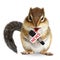 Funny animal squirrel with news microphone