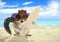 Funny animal squirrel with sunglasses and surfboard on the beach