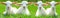 Funny animals background banner - Four cute little smiling goat / lamb babies are sitting on a green meadow