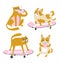 Funny animals drink coffee and ride a skateboard. Vector set - cats and dogs. Cute characters