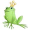 Funny animals frog prince