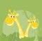 Funny animals - jungle giraffe family