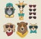 Funny animals with sunglasses cool style