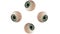 Funny Animation Four Eye Balls Reactions - Cartoon Eyes Animation on White Screen Matte Background 4K Stock Footage. Eyes CCTV