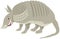 Funny armadillo animal cartoon illustration