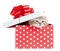 Funny baby cat in red gift box