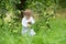 Funny baby girl picking apples in an autumn garden