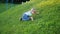 Funny baby playing on the grass. Rolling down from the slope. Fun outdoors