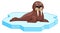 Funny baby walrus sitting on cartoon ice floe