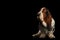 Funny Basset Hound on Isolated black background