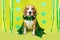 A funny beagle dog in a carnival costume for the Irish holiday of St. Patrick& x27;s Day.