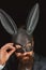 Funny bearded man in carnival rabbit mask. Stylish man. Handsome man with beard in playboy mask. Playboy mask.